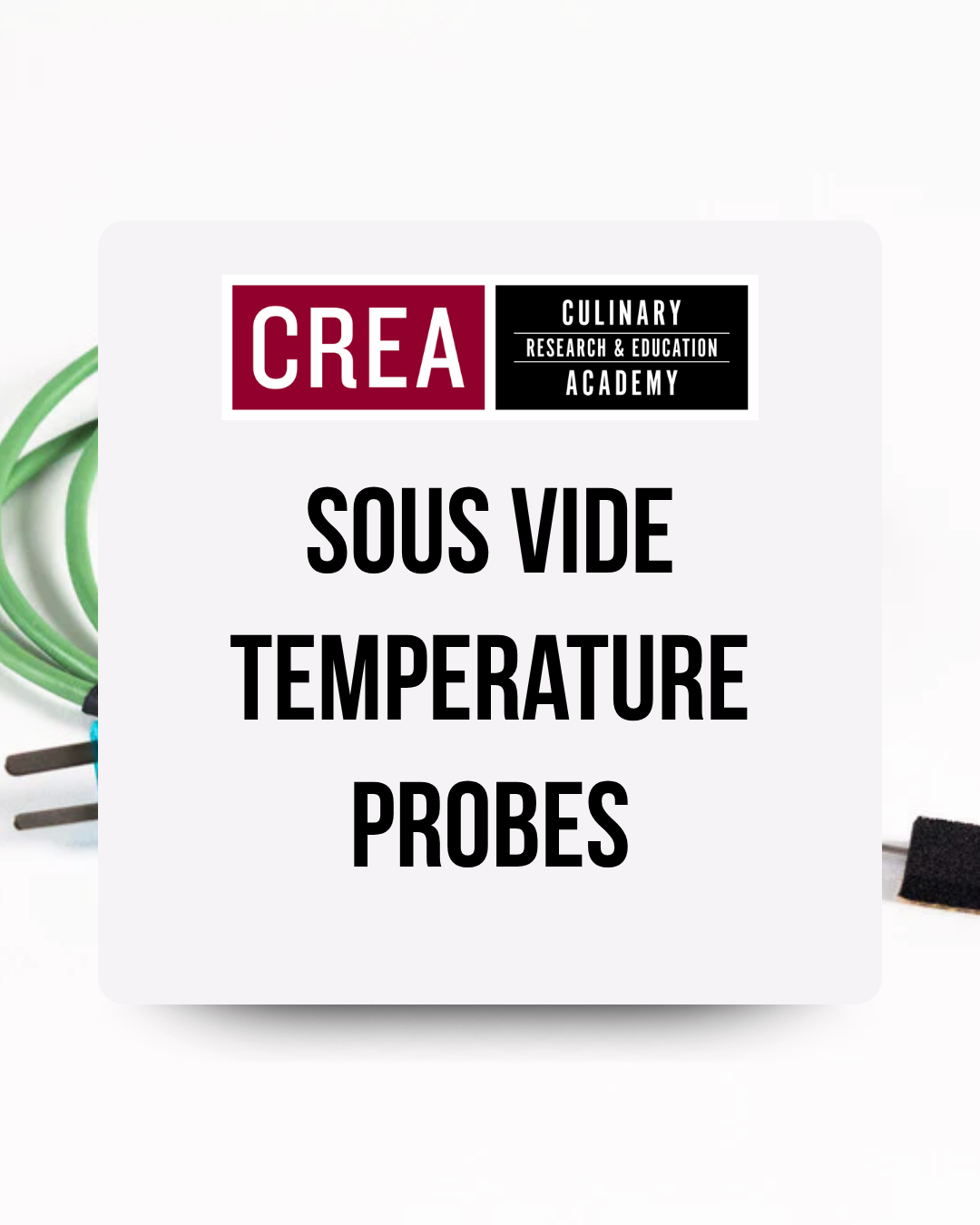 Temperature Probes